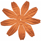 Oregonian Silk Flower- Orange