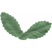 Confidence Leaf 025