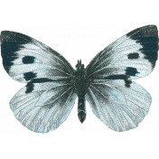 Fine Print Butterfly 13