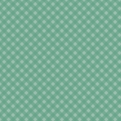 The Guys- Papers- Teal Gingham