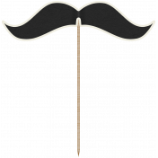 The Guys- Minikit- Moustache Stick