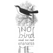 Jane- I Am No Bird