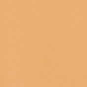 Jane- Solid Papers- Orange