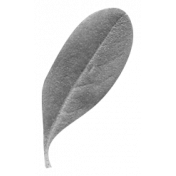 Leaves- Templates- Leaf 7