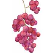 Pour Me A Wine- Elements- Watercolor Grapes