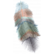 Create Something- Elements- Painted Feather