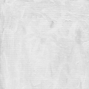 Gesso Canvas- Textures- White 6