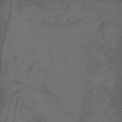 Gesso Canvas- Textures- Gray 7