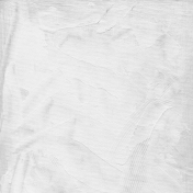 Gesso Canvas- Textures- White 8