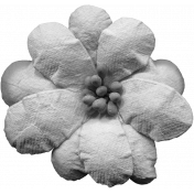 Flowers No.11- Flower Template 5