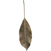 Leaves No.1 – Leaf 7