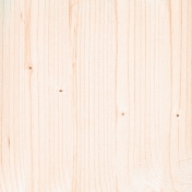 Wood Veneer Textures- Wood Veneer 12