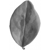 Leaves No.3 – Leaf 2 Template