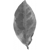 Leaves No.3 – Leaf 11 Template