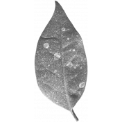 Leaves No.4 – Leaf Template 2