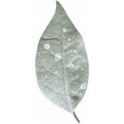 Leaves No.4 – Leaf 2