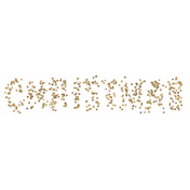 Light String Words- Star Christmas