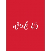 Back to Basics Week Pocket Card 01-089