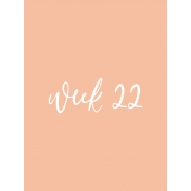 Back To Basics Week Pocket Card 10-043