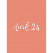 Back to Basics Week Pocket Card 05-047