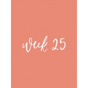 Back to Basics Week Pocket Card 05-049