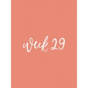 Back to Basics Week Pocket Card 05-057