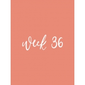 Back to Basics Week Pocket Card 05-071