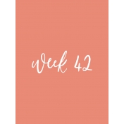 Back to Basics Week Pocket Card 05-083