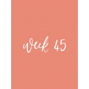 Back to Basics Week Pocket Card 05-089