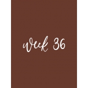 Back to Basics Week Pocket Card 08-071