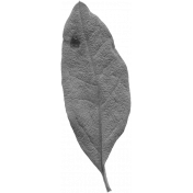 Leaves No.10 – Leaf 04 Template