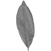 Leaves No.10 – Leaf 05 Template