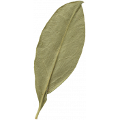 Leaves No.10 – Leaf 01