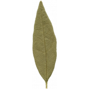 Leaves No.10 – Leaf 09