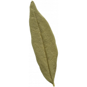 Leaves No.10 – Leaf 10