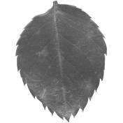 Leaves No.12-02 template