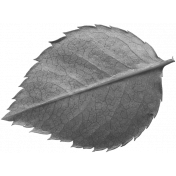 Leaves No.12-05 template