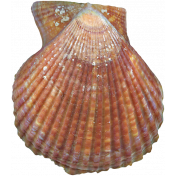 Sea Shells Vol.I-03