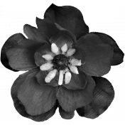 Silk Flower Template 019