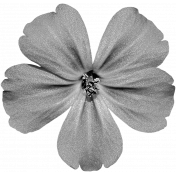 Silk Flower Template 020