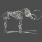 Chills & Thrills- Mammoth Chalk Skeleton Stamp 