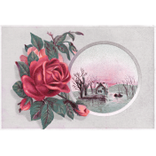 Cozy Day- Rose Postcard