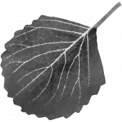 Leaf Template 110