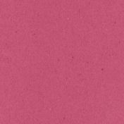 Family Day- Pink Solid Paper