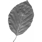 Leaf Template 115