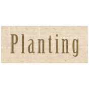 Slice of Summer- Planting Word Art
