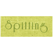 Slice of Summer- Spitting Word Art