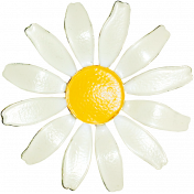 At the Zoo- White Enamel Daisy Pin