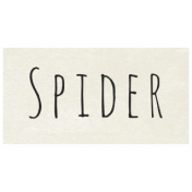 At the Zoo- Spider Word Art