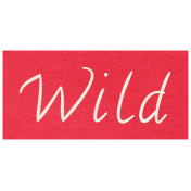 At the Zoo- Wild Word Art